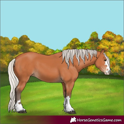 Horse Color:Silver Bay