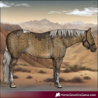 Horse Color:Silver Brown Dun Tobiano Rabicano Brindle 