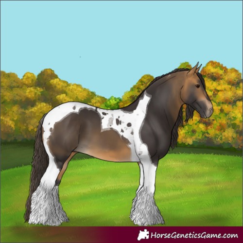 Horse Color:Buckskin Tobiano 