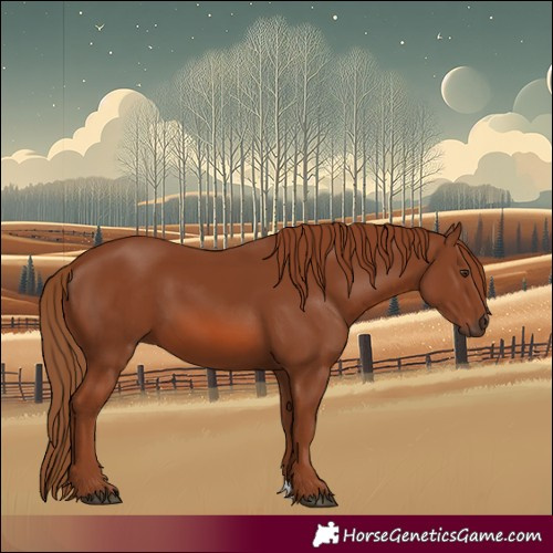 Horse Color:Chestnut 