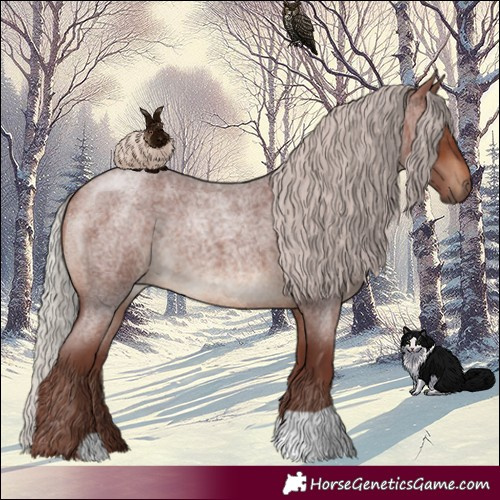 Horse Color:Chocolate Silver Brown Roan 