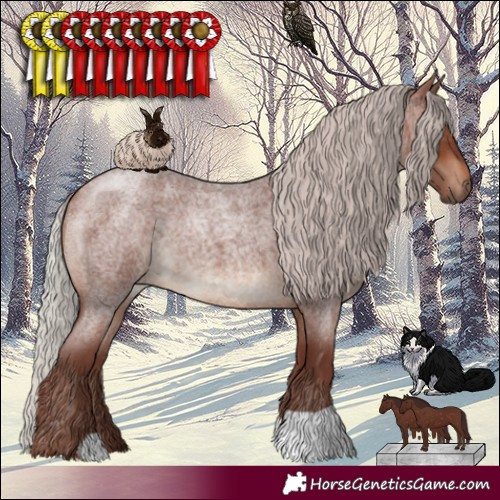 Horse Color:Chocolate Silver Brown Roan