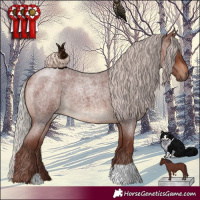 Horse Color:Chocolate Silver Brown Roan