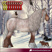Horse Color:Chocolate Silver Brown Roan