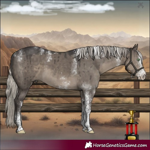 Horse Color:Powder White White Spotted Silver Smoky Grullo Brindle 