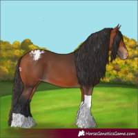 Horse Color:Bay Tobiano Varnish 