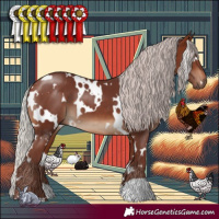 Horse Color:White Spotted Chocolate Silver Brown