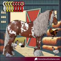 Horse Color:White Spotted Chocolate Silver Brown