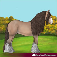 Horse Color:Amber Champagne