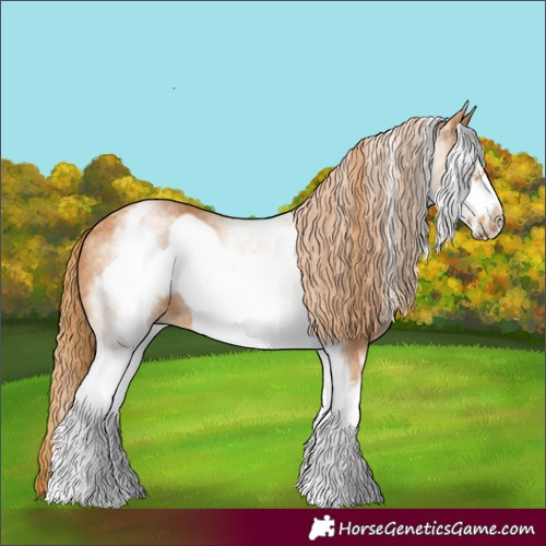 Horse Color:White Spotted Chestnut Frame