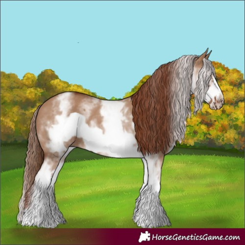 Horse Color:White Spotted Red Dun Frame 