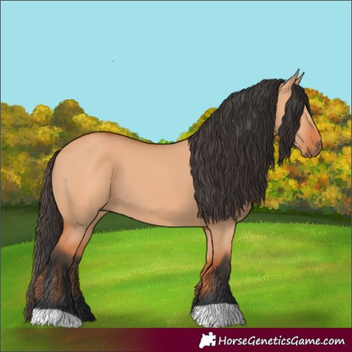 Horse Color:Bay Dun 