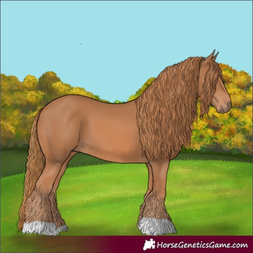 Horse Color:Chestnut 