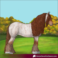 Horse Color:Red Roan 