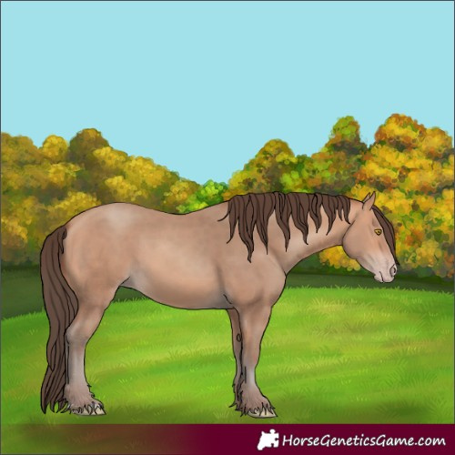 Horse Color:Amber Champagne