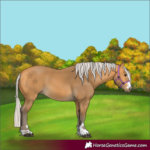Horse Color:Silver Buckskin