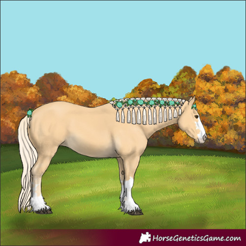 Horse Color:Palomino
