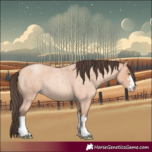Horse Color:Amber Champagne Roan 