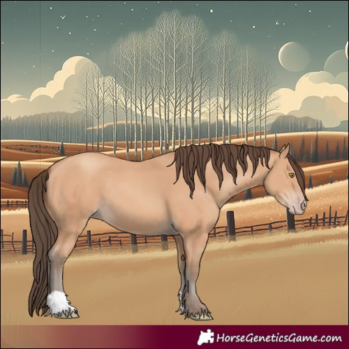 Horse Color:Amber Champagne 
