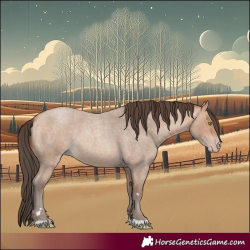 Horse Color:Amber Champagne Roan 