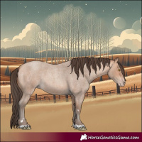 Horse Color:Amber Champagne Roan 