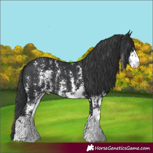 Horse Color:Black Sabino