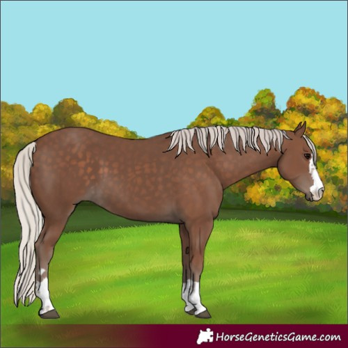 Horse Color:Silver Black