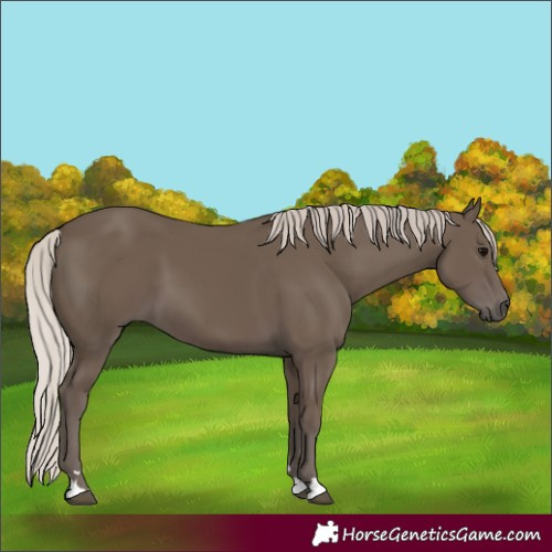 Horse Color:Silver Black 