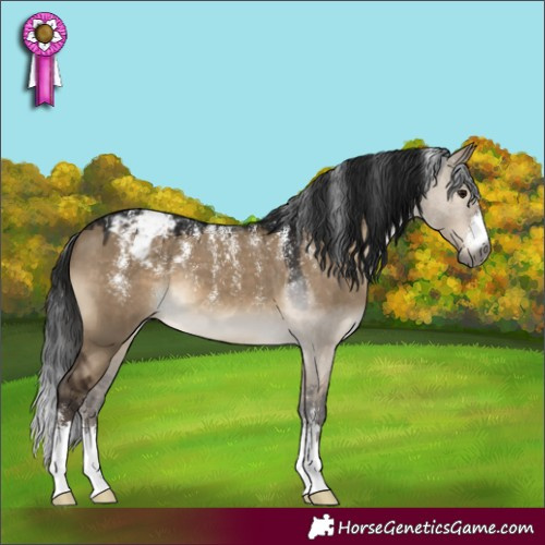 Horse Color:Powder White Gray Brown Dun Appaloosa 