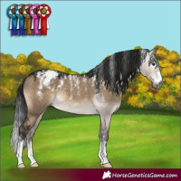 Horse Color:Powder White Gray Brown Dun Blanket 