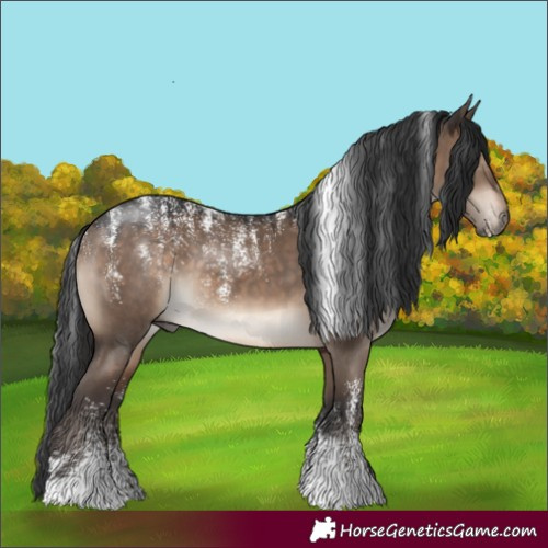 Horse Color:Powder White Brown Dun