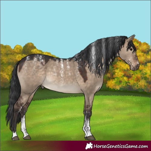 Horse Color:Powder White Brown Dun