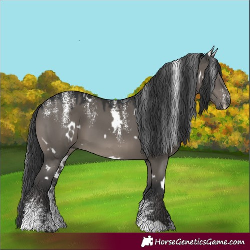 Horse Color:Powder White White Spotted Grullo
