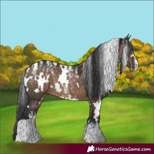Horse Color:Powder White White Spotted Brown Dun 