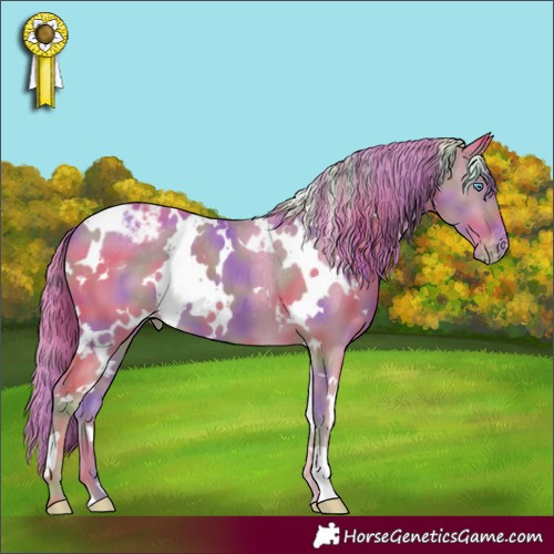 Horse Color:Nacre White Spotted Smoky Creme Appaloosa 