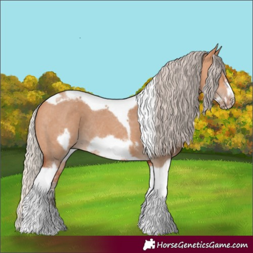 Horse Color:Silver Bay Dun Sabino Tobiano Frame Rabicano 