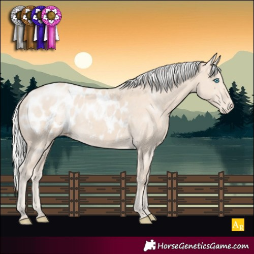 Horse Color:Silver Smoky Creme Appaloosa 