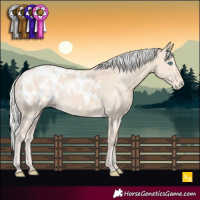 Horse Color:Silver Smoky Creme Blanket 