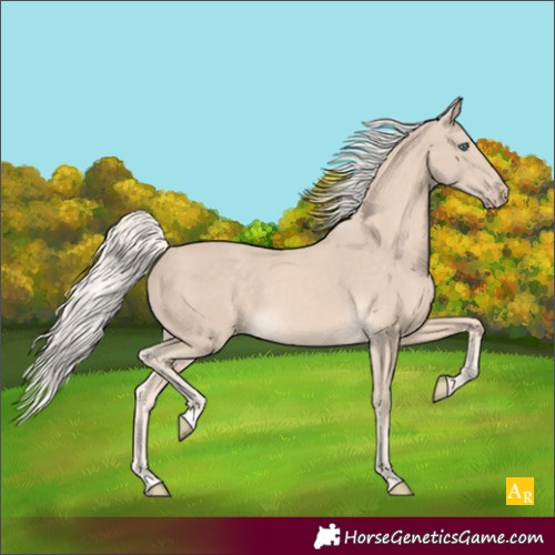Horse Color:Cremello 