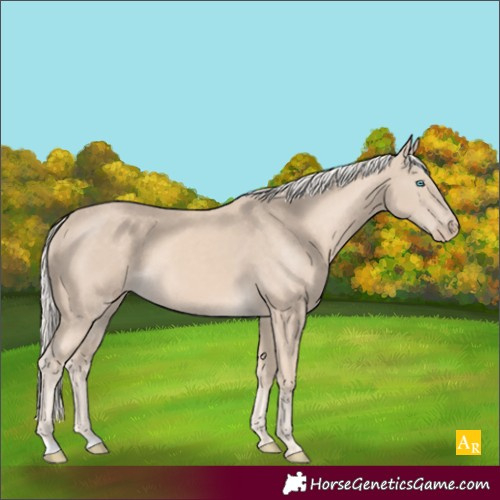 Horse Color:Cremello