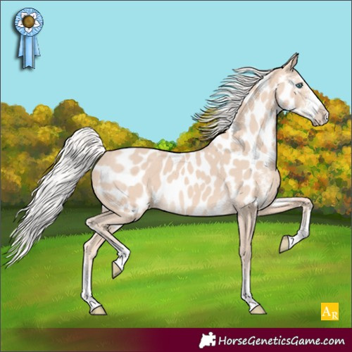 Horse Color:Silver Perlino Sabino Appaloosa