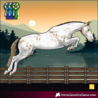 Horse Color:White Spotted Buckskin Pearl Sabino Near Leopard
