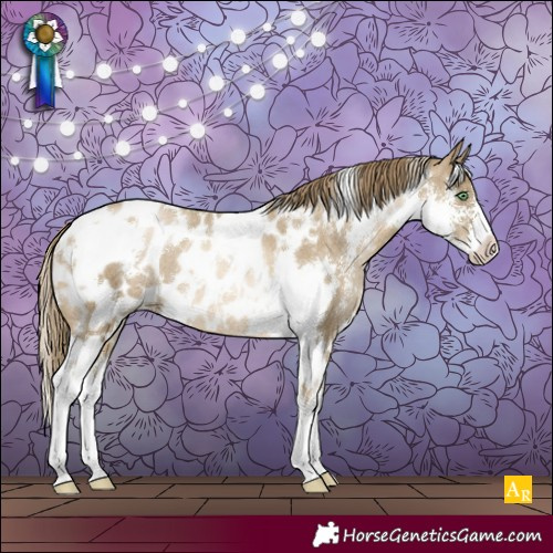 Horse Color:White Spotted Smoky Black Pearl Sabino Appaloosa Rabicano 