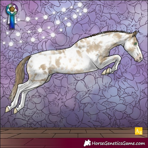 Horse Color:White Spotted Smoky Black Pearl Sabino Appaloosa Rabicano