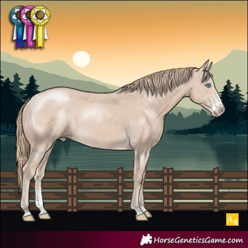 Horse Color:Smoky Creme Sabino Rabicano 