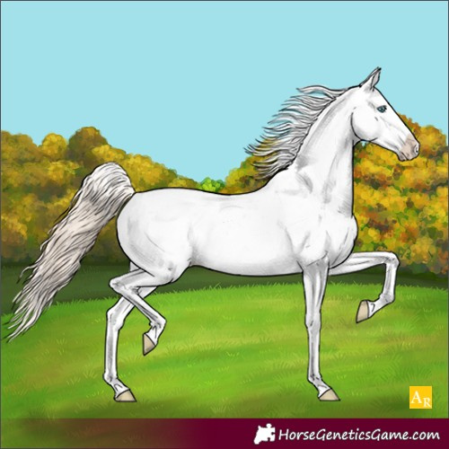 Horse Color:Smoky Creme Sabino Appaloosa