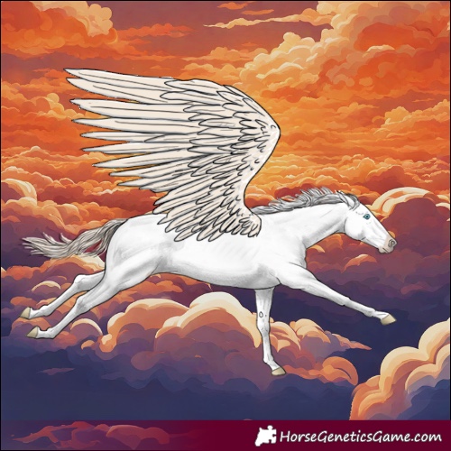 Horse Color:Smoky Creme Sabino Appaloosa 