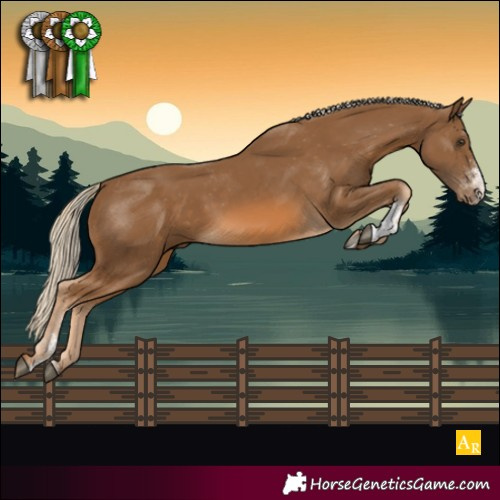 Horse Color:Chocolate Palomino Sabino Appaloosa
