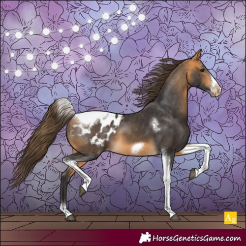 Horse Color:Buckskin Tobiano Frame Appaloosa 