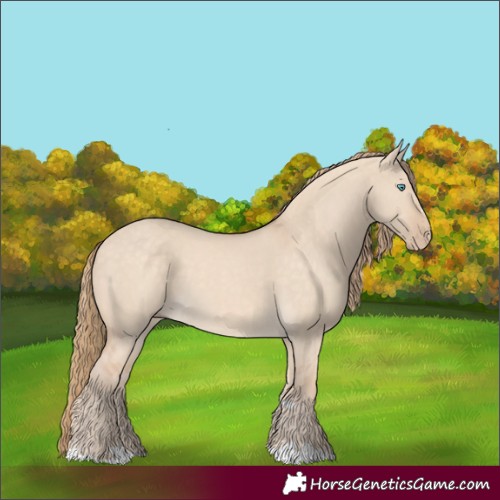 Horse Color:Perlino Dun 